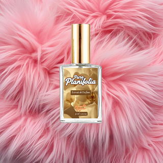 Pure Planifolia - (Vanille Planifolia Extrait 21 Inspired)